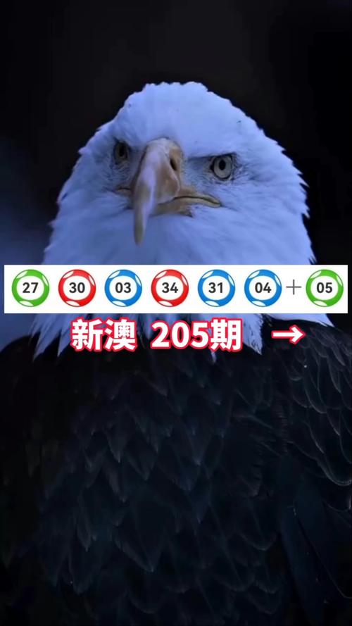 新澳2024年精准资料期期公开不变，精准解释落实及其象征意义_网页版74.86.76  第3张