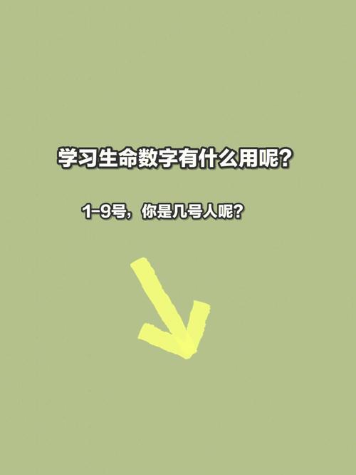 7777788888管家婆狗，精准解释落实及其象征意义_The51.94.99  第1张