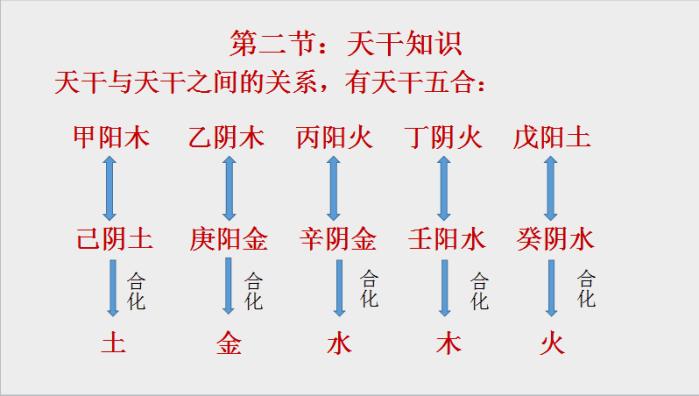 管家婆一码一肖资料大全四柱预测，精准解释落实及其象征意义_WP68.55.33  第1张