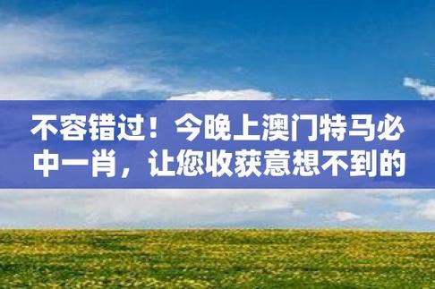 2024年今晚澳门特马号，精准解释落实及其象征意义_V49.95.23  第6张