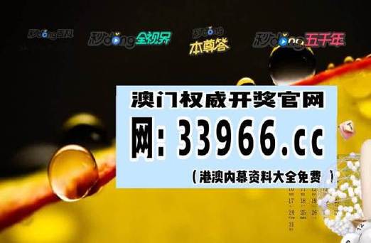 今晚澳门一肖一码，精准解释落实及其象征意义_BT42.8.77  第2张