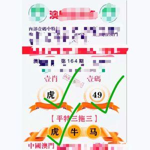 一肖一码%100，精准解释落实及其象征意义_BT50.1.31  第3张