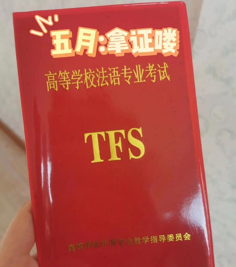 一肖一码%100，精准解释落实及其象征意义_BT50.1.31  第5张