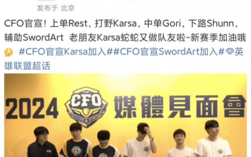 cfo是哪个战队？cfo ceo cmo？  第3张