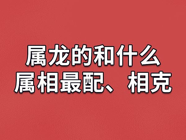 小小精灵技能，小小精灵平民前十神宠  第3张