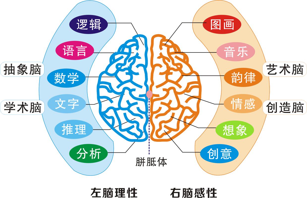 锻炼左右脑的手机游戏  第1张