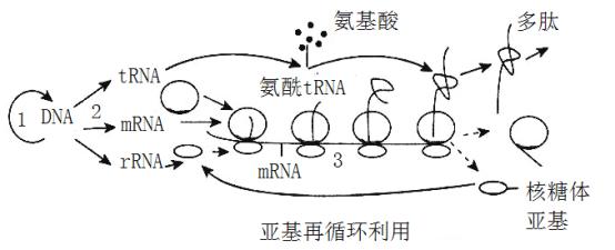 蓝牙连机双人游戏安卓  第2张