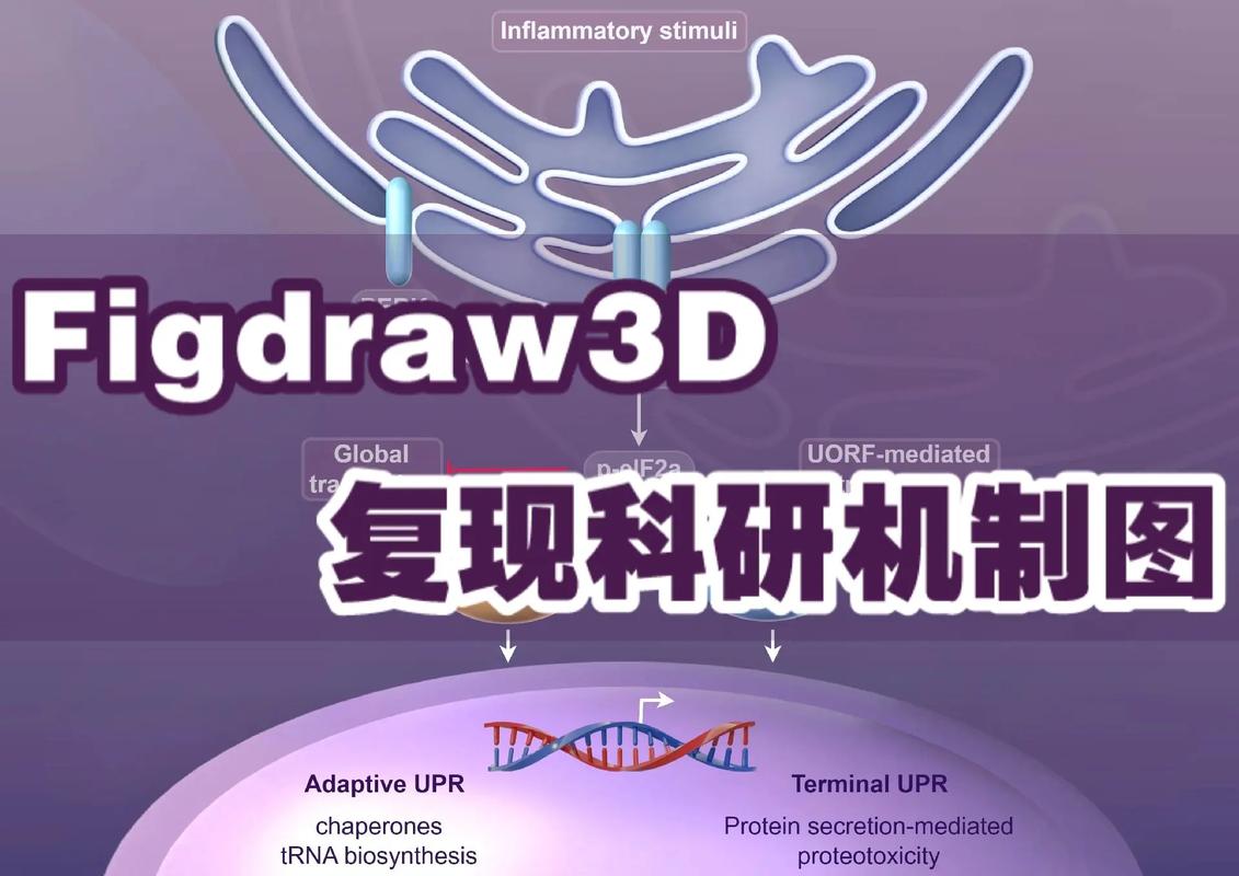 苹果射击类游戏  第1张