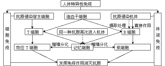 类似于饥荒的手机游戏  第3张