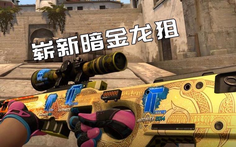 csgo龙狙多少钱？csgo龙狙多少钱一把？  第3张