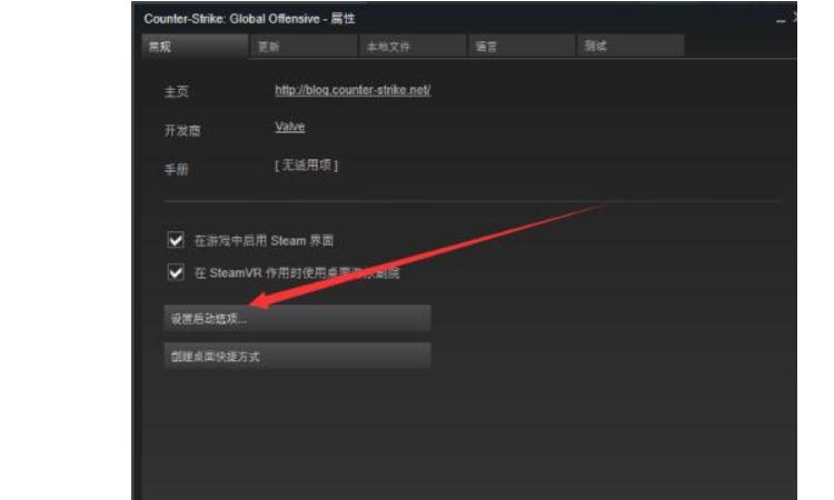 csgo国服怎么开，csgo国服怎么开麦？  第2张