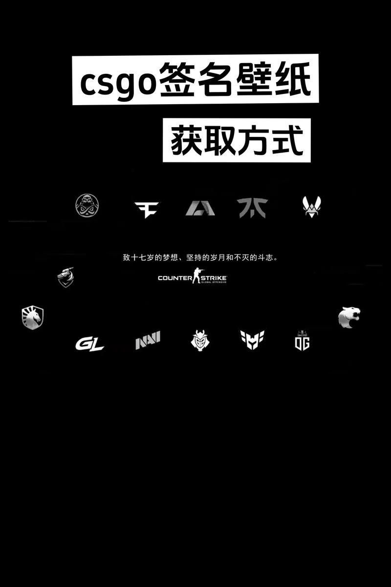 csgo中文叫什么？csgo中文叫啥？  第6张