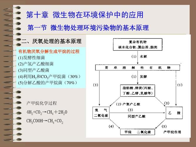 手机游戏荒岛求生攻略  第2张