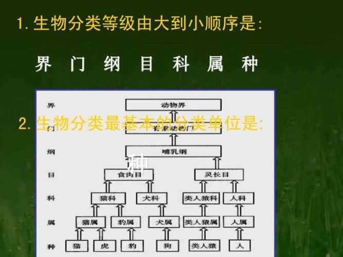 物种起源 攻略  第3张