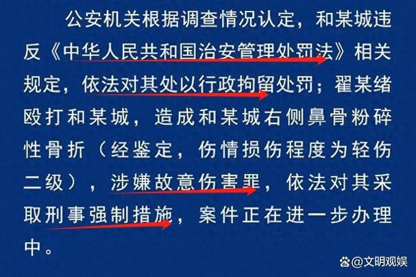 武契奇专车后轮意外飞出事件，安全漏洞还是意外事故？  第4张