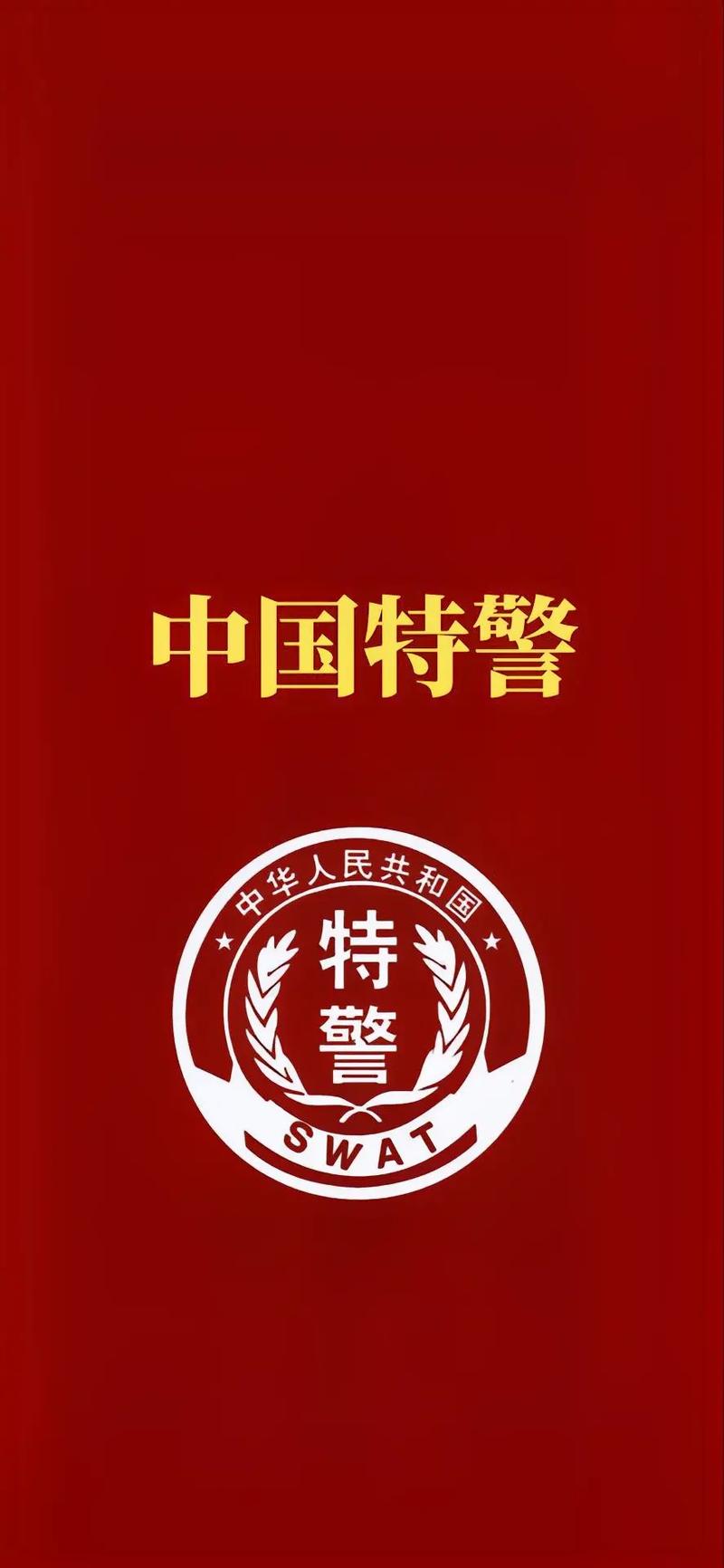 中国特警勇夺桂冠，展现卓越实力与无畏精神  第3张