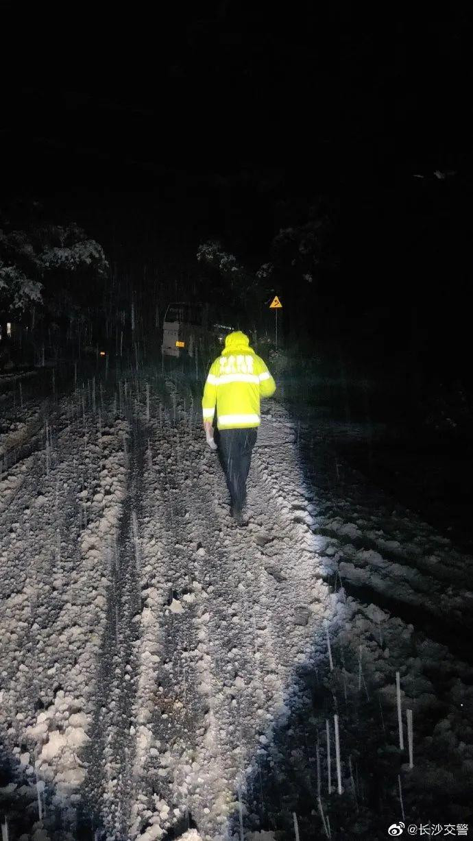 雪夜守护者，男子捕捉自家蒙古獒盖雪而睡的温馨瞬间  第1张