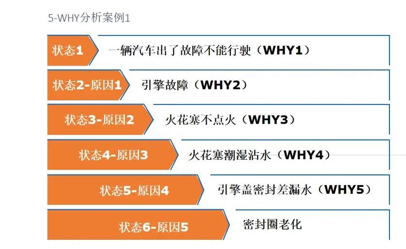 海南临高冬季辣椒价格低迷滞销，农民困境与多方合力寻求出路  第3张