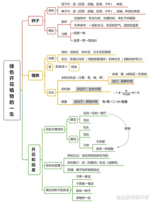 中国队亚冬会百金里程碑，全面绽放的荣耀时刻  第4张