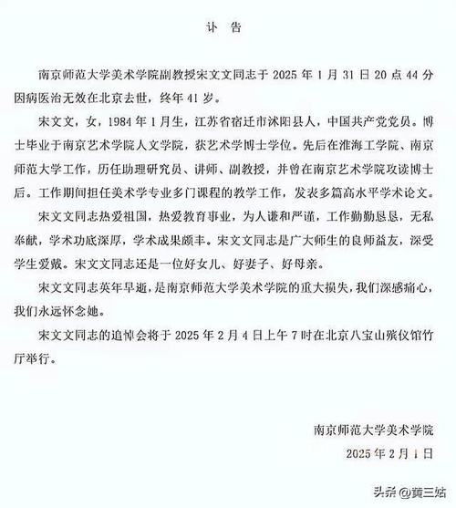 南师大副教授宋文文病逝，41岁教育英才的离世  第4张