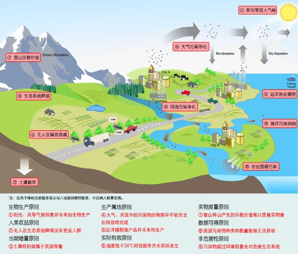 西班牙海域罕见魔鬼鱼被发现，神秘生物的探索之旅  第3张