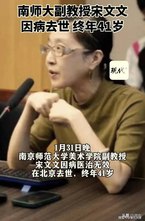 南京师范大学副教授宋文文逝世，教育界悼念英才离世  第1张