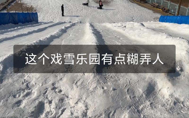 烟台海滨奇观，雪鸭子占领石墩的乐园  第2张