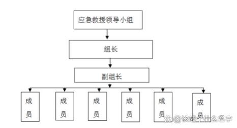 海事救援行动，船上大厨急性胆囊炎紧急处置纪实  第1张