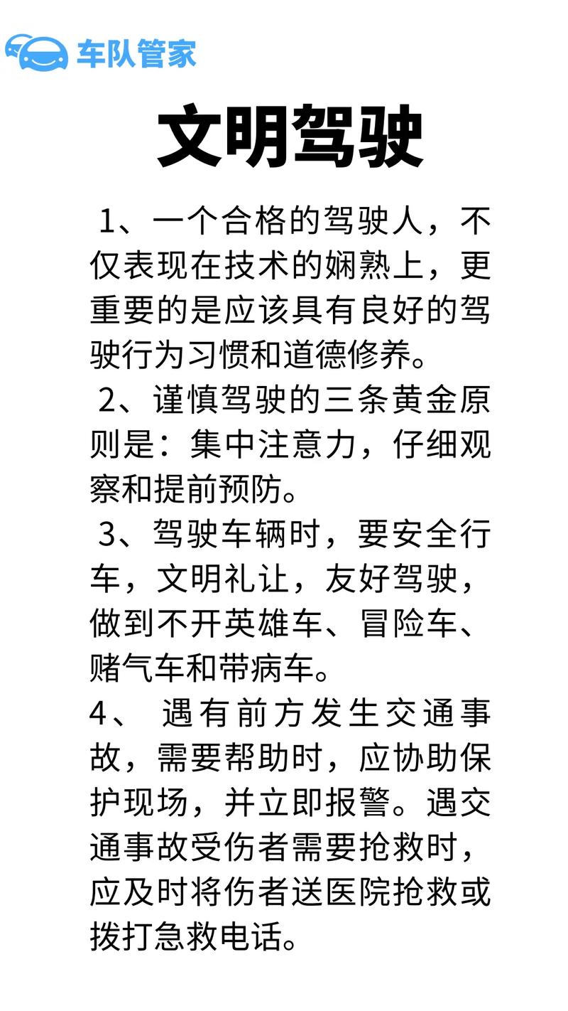 司机情绪失控，走应急车道逼停货车并骂人  第3张