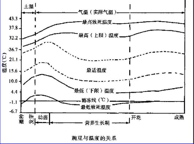 大风天为何感觉更冷？气象与人体感知的深度解析  第2张