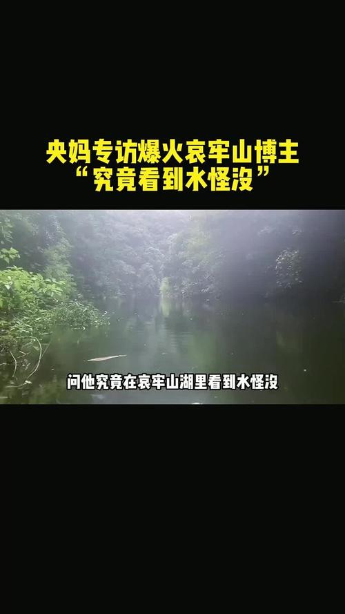 导演饺子妈妈爱马仕风范的毛衣揭秘  第1张