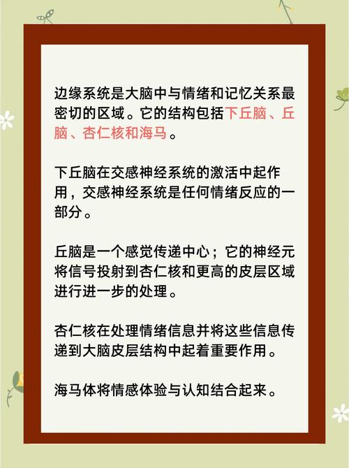 数字时代的情感与记忆之谜，网友爸爸去世多年后微信账号的消失  第3张