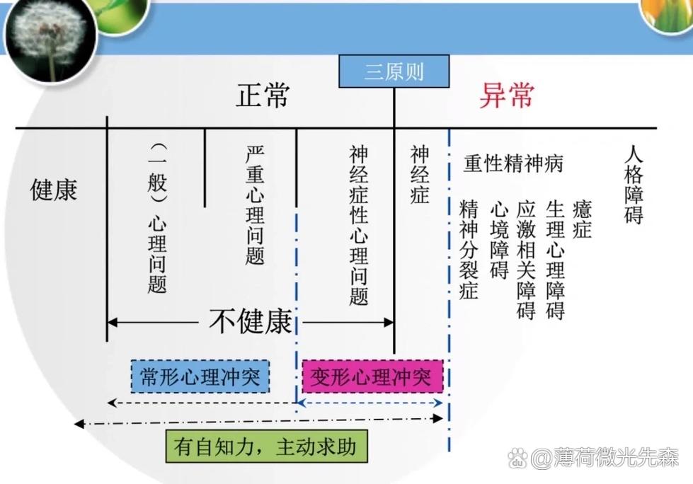 王楚钦新加坡大满贯之旅止步四强，实力与机遇的双重考验  第3张