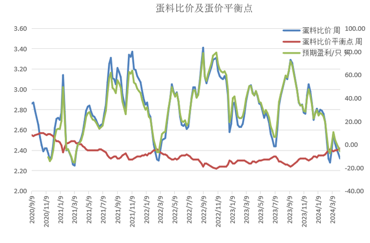 美国鸡蛋价格飙升至20美元一打，引发养鸡热潮  第1张