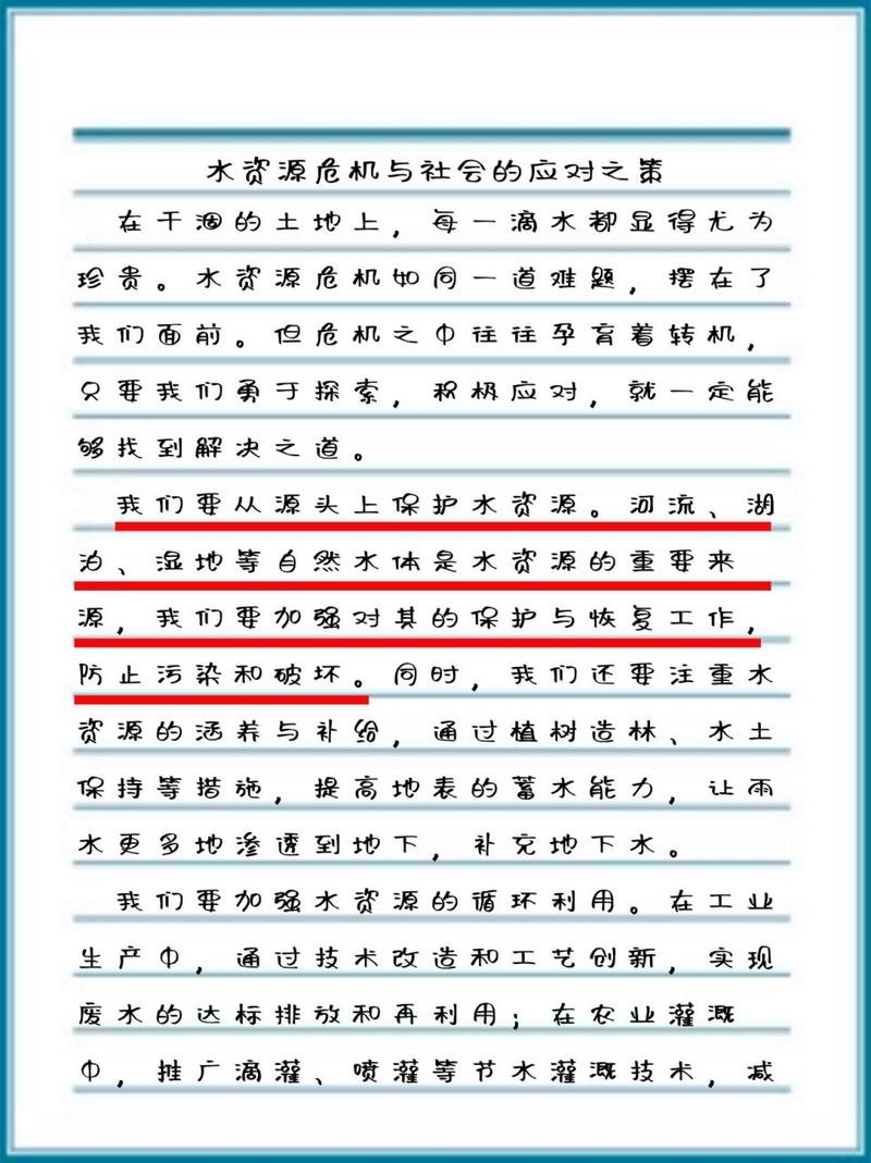 守护宠物与广告纯净，狗狗回归，禁止接送广告的双重承诺  第4张