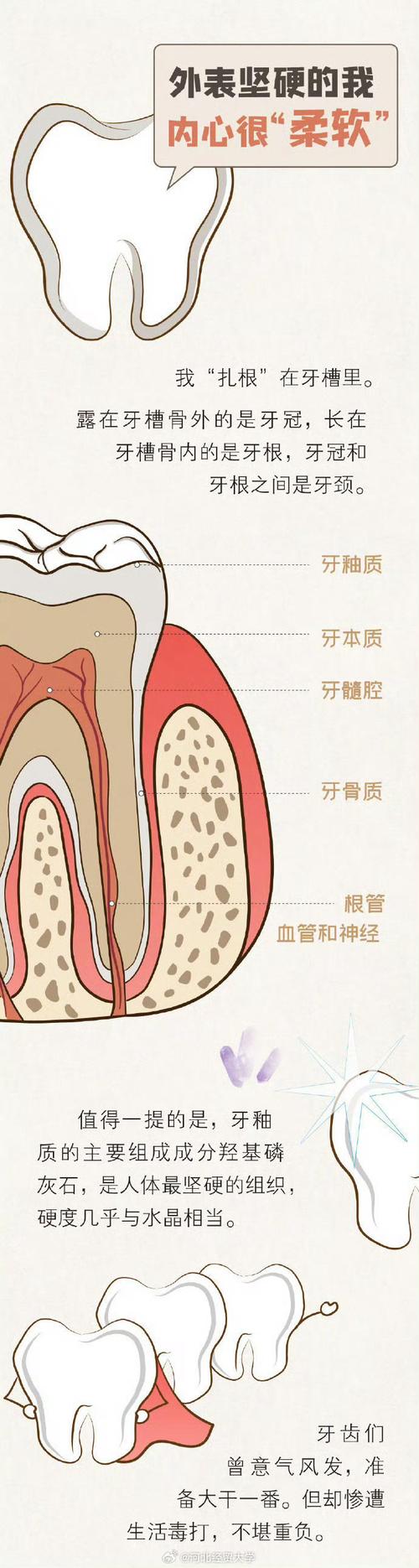 牙周病与脑卒中风险，密切关联的警示标题  第1张