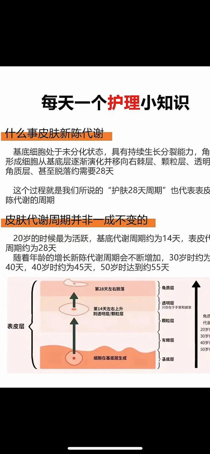 西施新皮肤首曝，绝美仙子重塑荣耀时刻  第5张