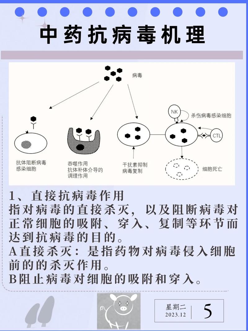 警惕未确诊甲流乙流，切勿盲目用药，科学应对病毒  第3张