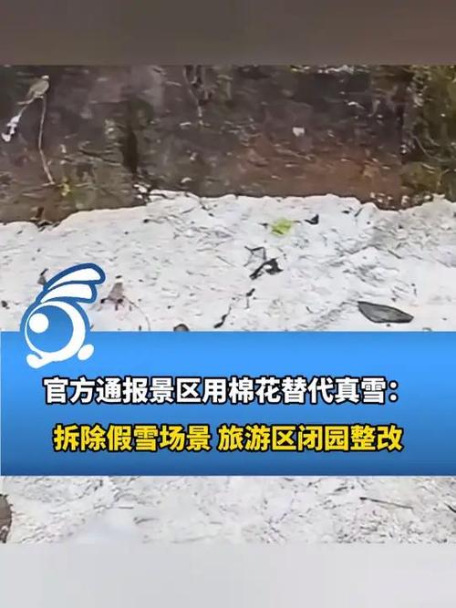 棉花替代真雪，景区关闭并致歉的背后故事  第2张