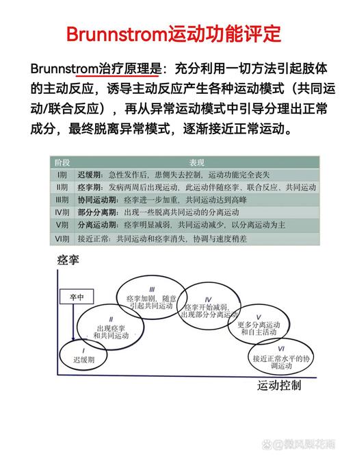 冲入江中救人后，英勇白马退烧康复之路  第5张