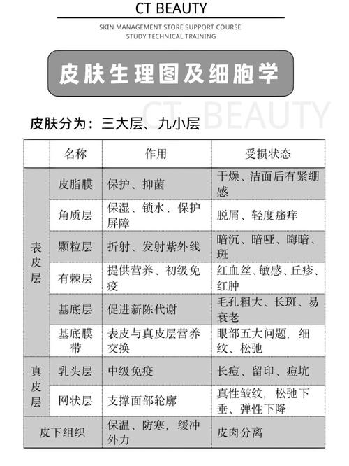 明世隐牡丹华裳新皮肤，绽放的王者风范  第3张