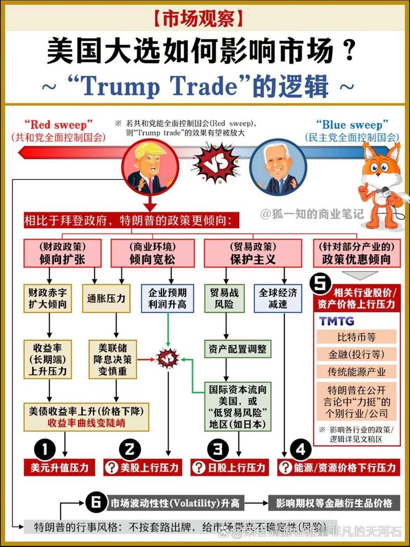 美国政坛查账风暴，透明度与问责制的新篇章  第4张