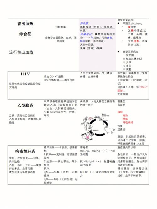 刚果神秘疾病爆发，五十余人丧生  第1张