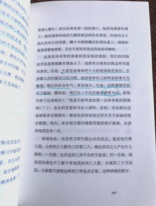 少年善举，扶正歪斜的交通信号灯  第5张