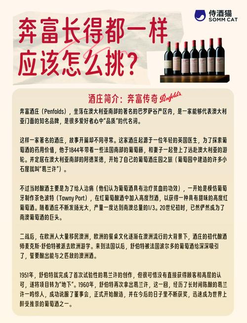 兴宁红酒厂家探秘之旅  第3张