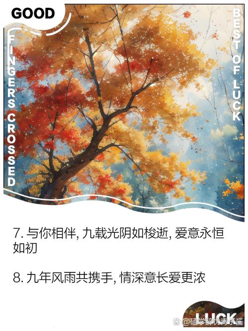 两只狗狗的温馨共眠，小争执中的和睦共处  第1张