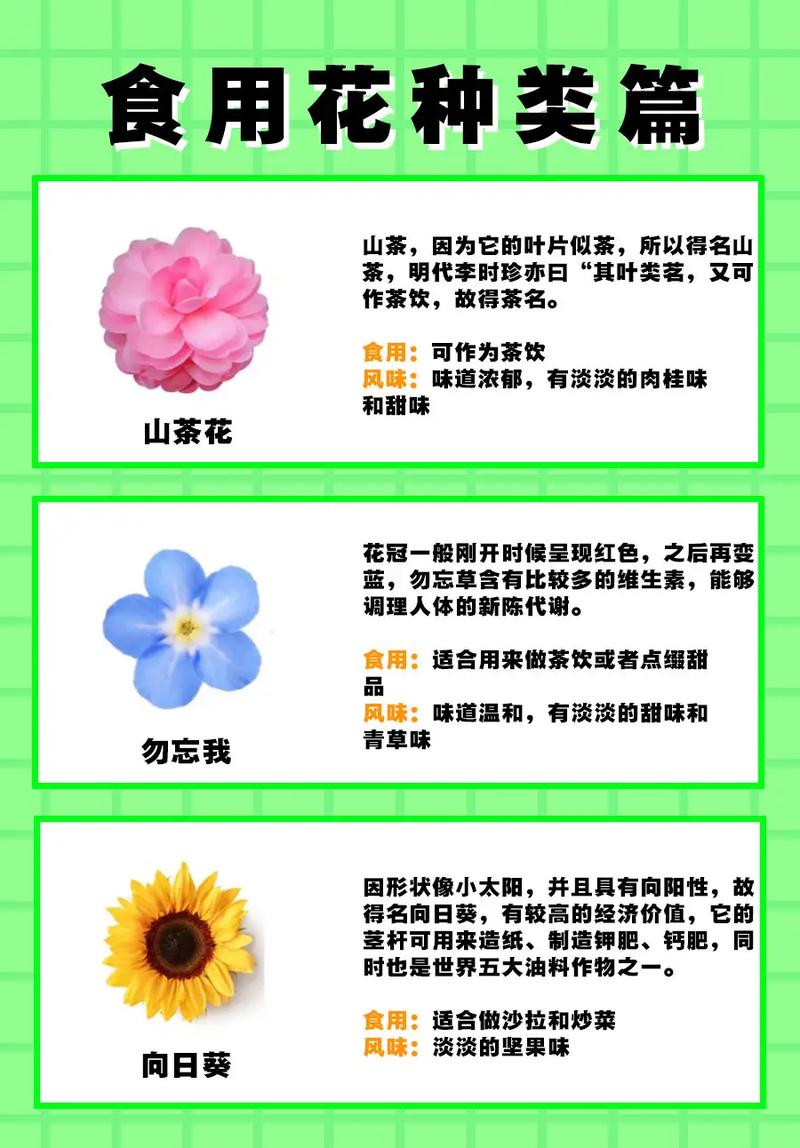 花卉种植指南，哪些花卉可以长出花卉？  第1张