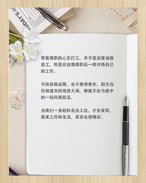 以离职心态工作，深度解析与反思  第1张