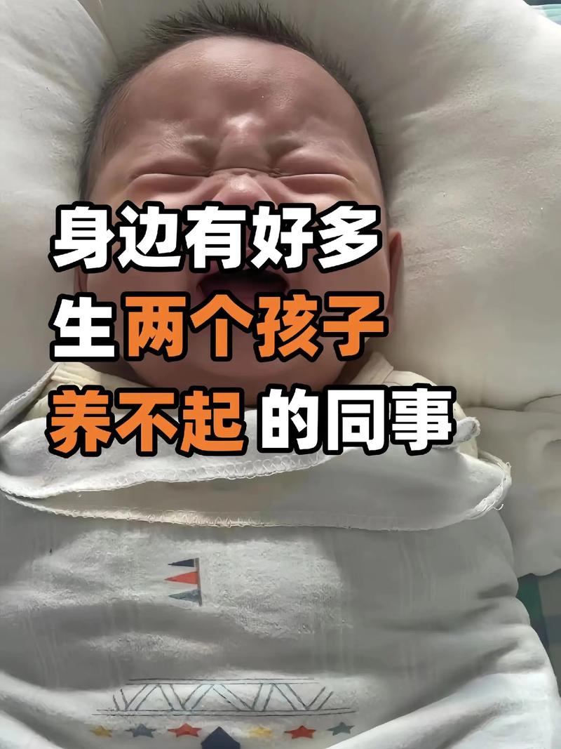 论生养一孩与两孩的利与弊，家庭选择的考量  第2张