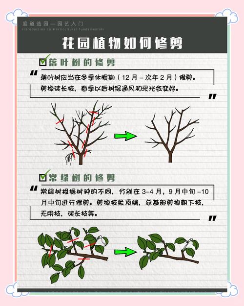 栖霞区花卉修剪技术详解  第1张